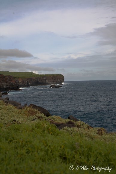 Galapagos134