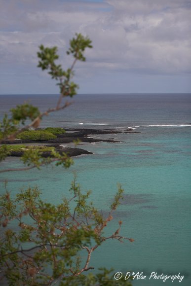Galapagos205